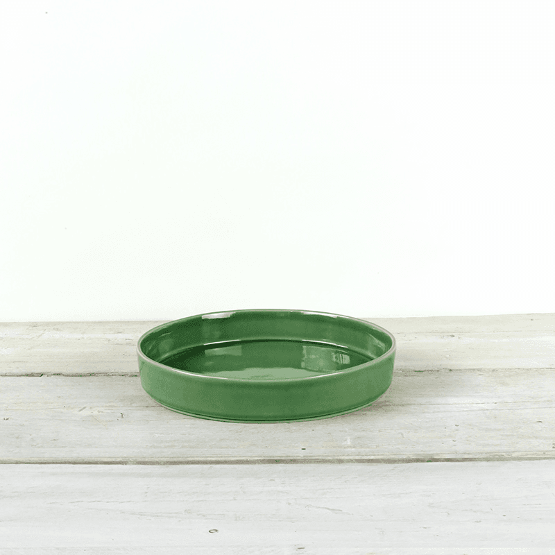 Parrot Pasta Bowl, D24cm, Green