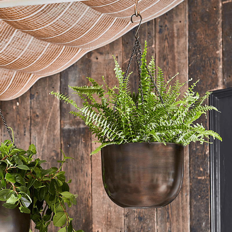 Mayfair Indoor Hanging Planter, H16 x D21cm, Brown