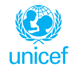 Image showing the A Donation Towards Unicef product.