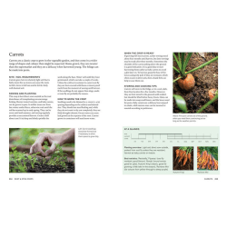 Image showing the Grow Your Own Veg Through The Year product.