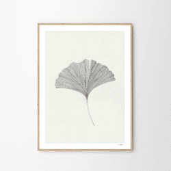 Image showing the Grinko Leaf - Ana Frois Art print, H70 x D50cm, Multi product.
