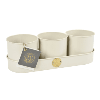 Image showing the Set of 3 Herb Pots, Cream product.