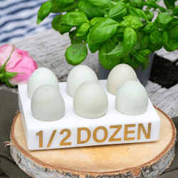 Image showing the Marble 1/2 Dozen Egg Holder, L17.5 x W12 x H3.5cm, White product.