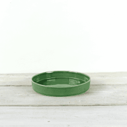 Image showing the Parrot Pasta Bowl, D24cm, Green product.