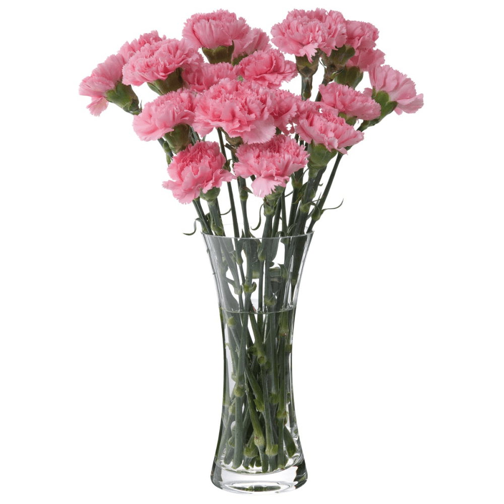 Florabundance Carnation vase, H26cm, Clear