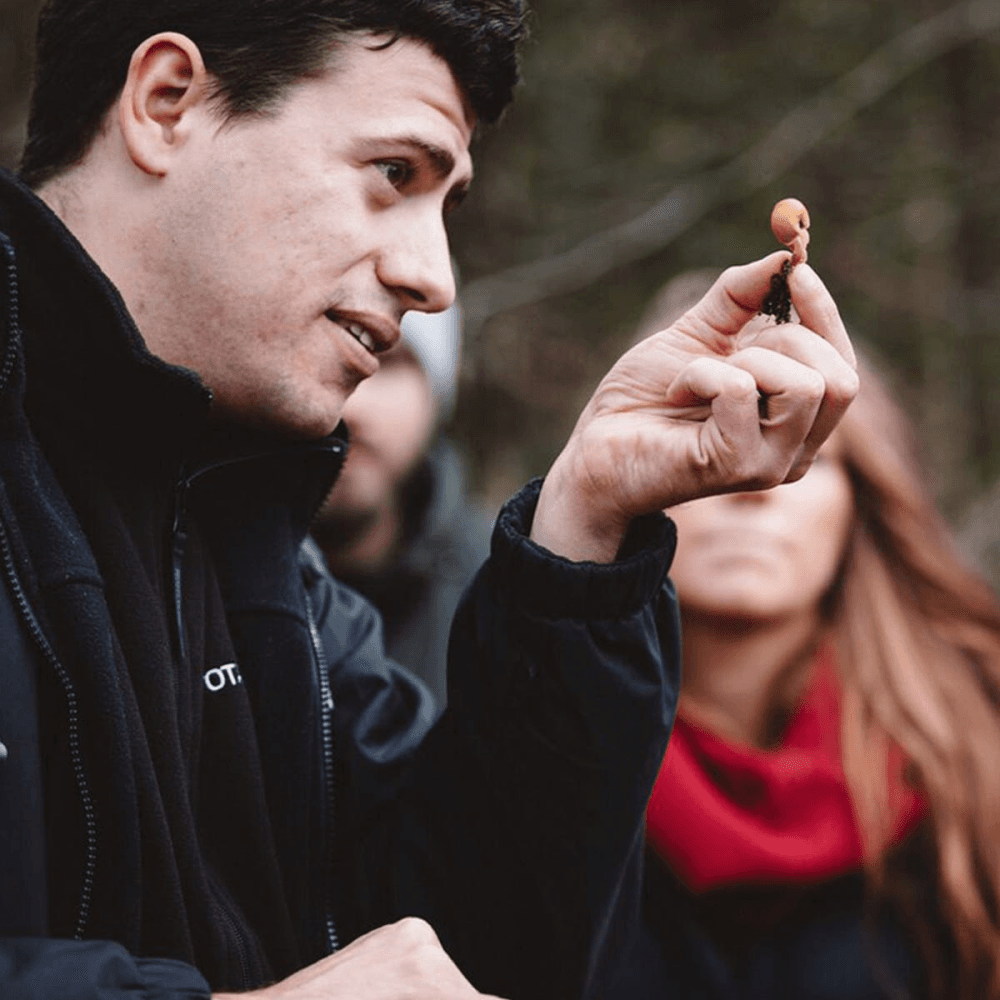 Foraging, Cookery and Lunch for Two with Totally Wild