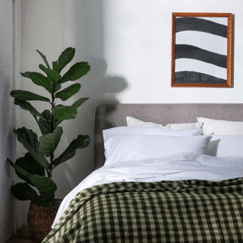 Image showing the Washed Cotton Percale Pair of Super King Pillowcases, White product.