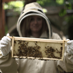 Image showing the Urban Beekeeping and Honey Craft Beer Tasting for Two product.