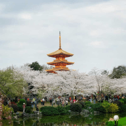 Image showing the Honeymoon Asia Trip £100 product.