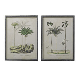 Image showing the Pair of Palm Tree Pictures, H56 x W41cm product.