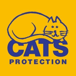 Image showing the A Donation Towards Cats Protection product.
