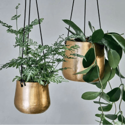 Image showing the Atsu Brass Hanging Planter Large, Brass product.
