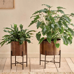 Image showing the Juoni Iron Planter, H35 x W30 x D30cm, Aged Antique Brass product.