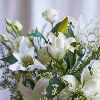 Image showing the Letterbox 3 Month Flower Subscription product.